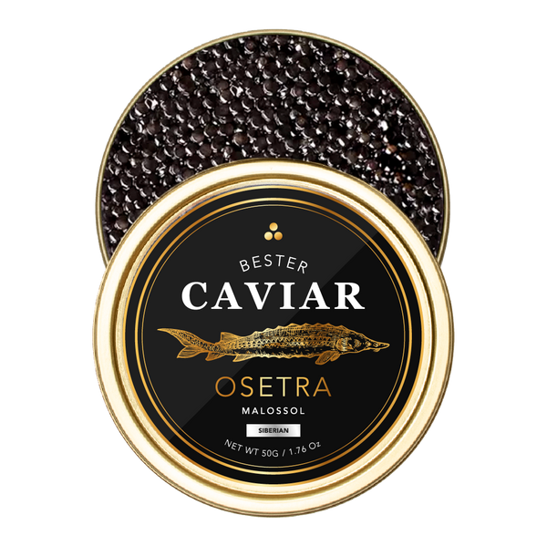 Siberian Sturgeon Caviar (Indian Ocean)