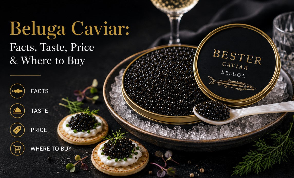 Beluga Caviar: Facts, Taste, Price & Where to Buy