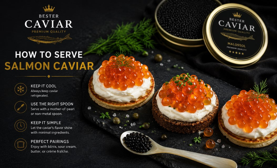 How to Serve Salmon Caviar? – The Best Salmon Roe Appetizers You Should Try