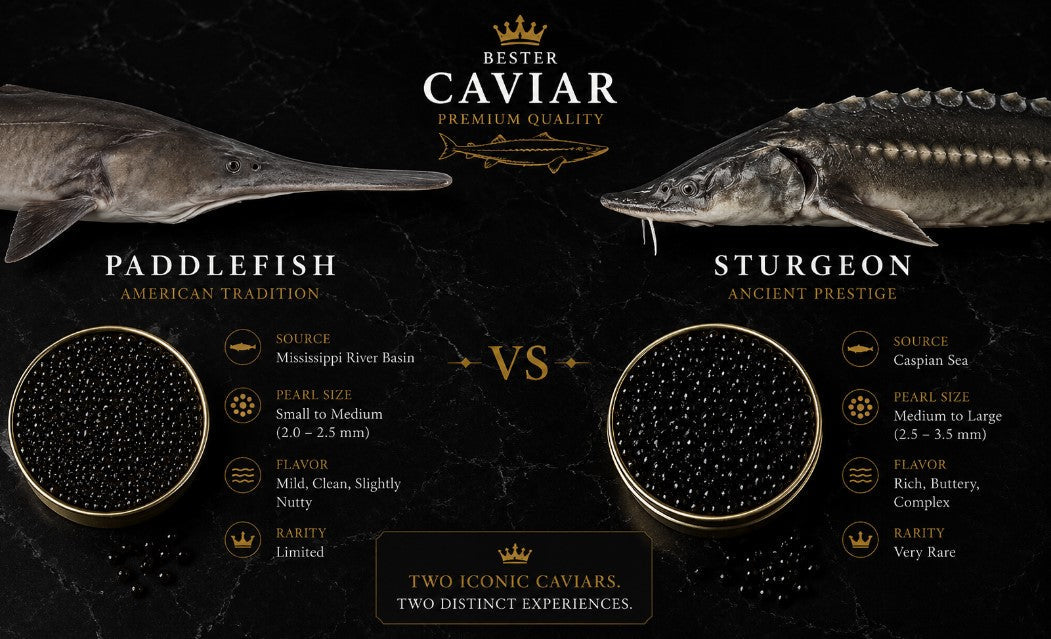 Paddlefish vs Sturgeon Caviar: Taste, Texture, and Price Compared