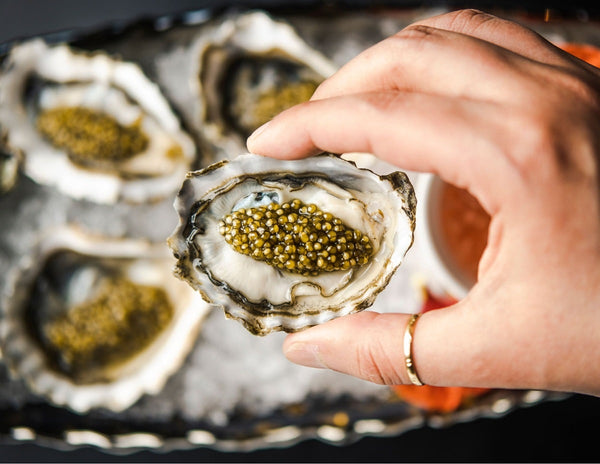 Caviar and Oysters - A Very Bold Combination for Gourmets