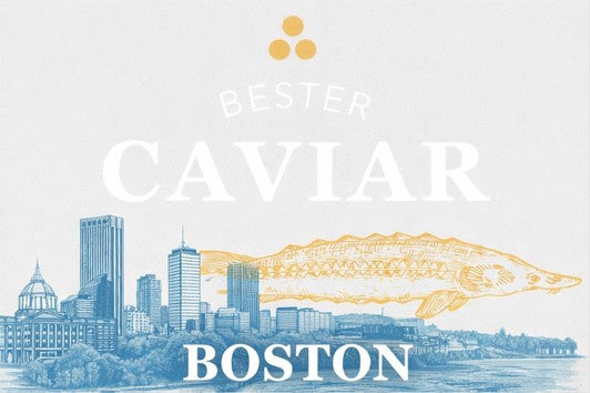 Boston