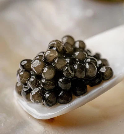 Caspian Beluga Hybrid Caviar Baku