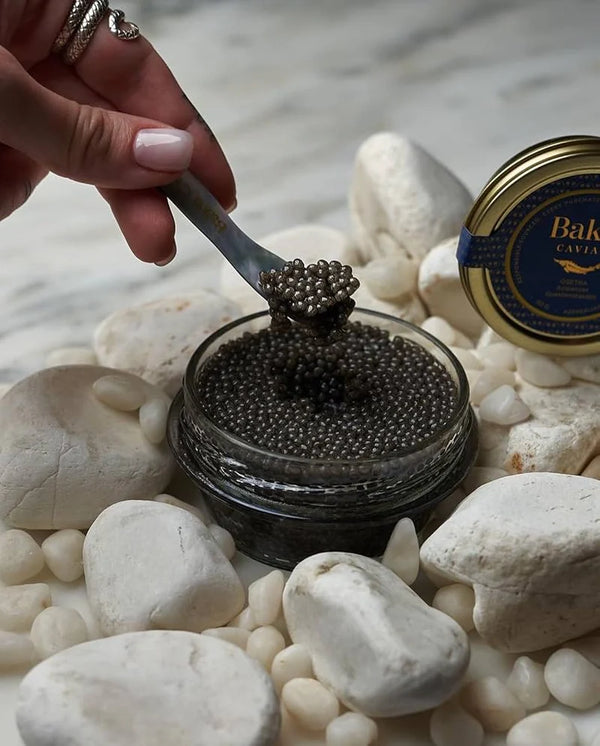 Caspian Beluga Hybrid Caviar Baku