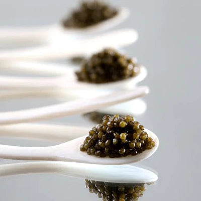 Royal Osetra Caviar