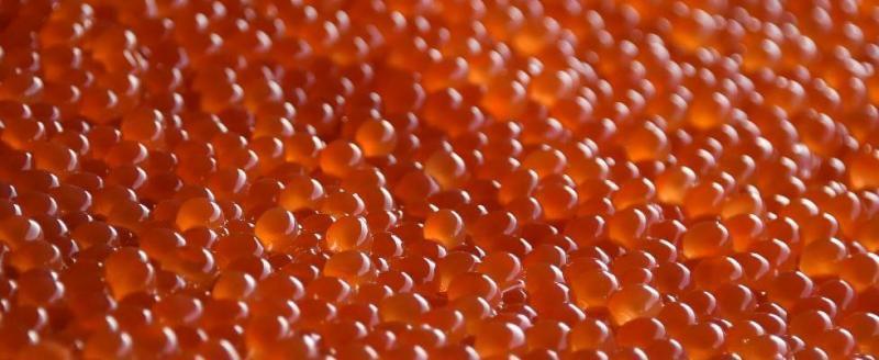 Salmon Roe Keta Red Caviar, Keta Ikura