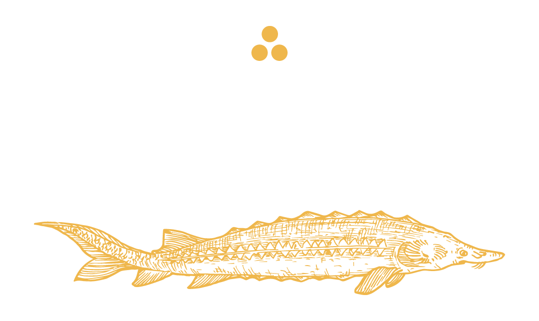 Bester Caviar