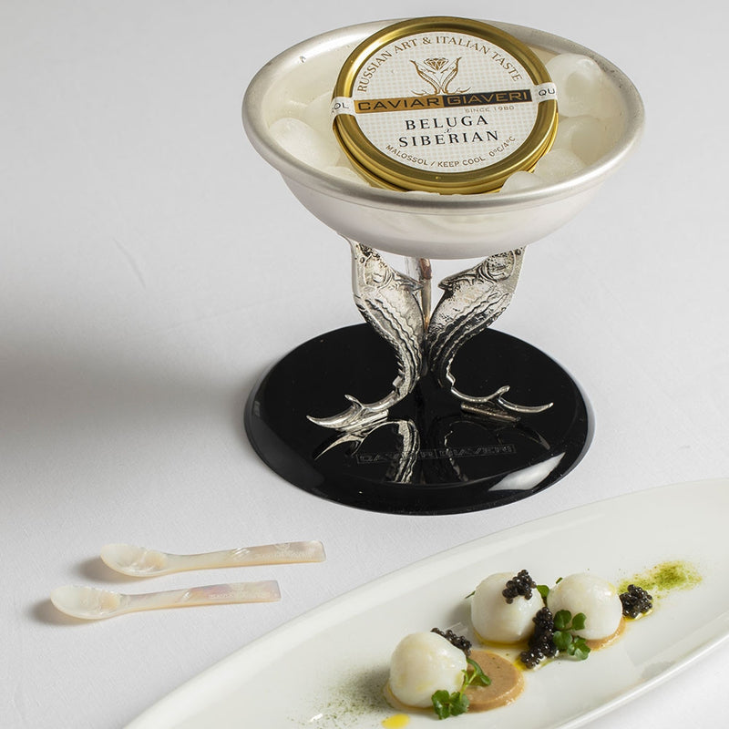 Mary Jurek Design Beluga Caviar Server with Glass Insert – Lifelong  Collectibles