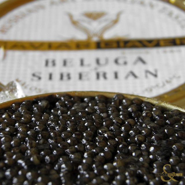 Royal Beluga Bester Hybrid - Caviar Star