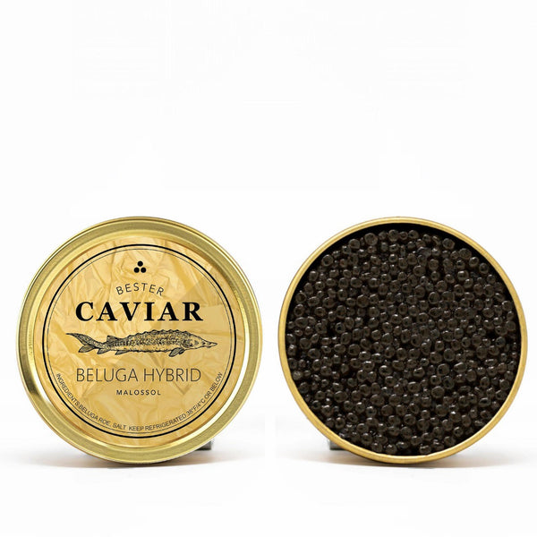Royal Beluga Hybrid Gift Set (Huso huso x  Baerii) - Bester Caviar